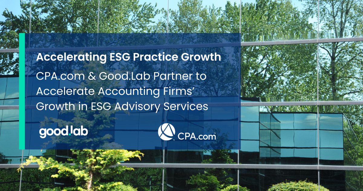 Accounting Firms Growth in ESG Advisory Services