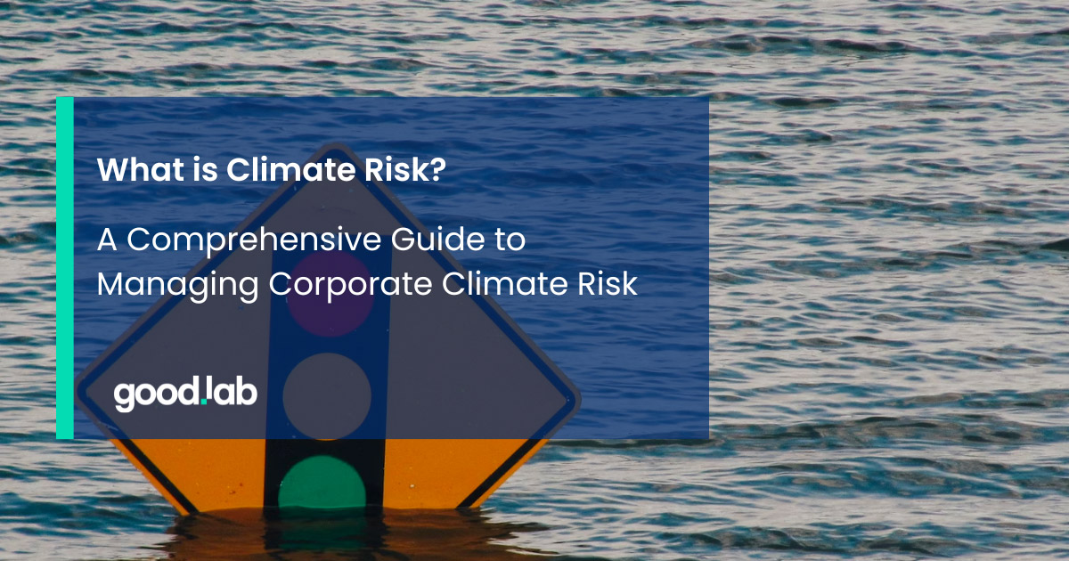 What is Climate Risk, and Why Companies Should Act Now To Assess Their Exposure