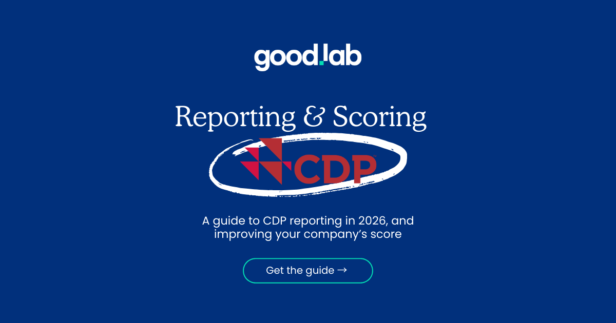 Reporting CDP 2026