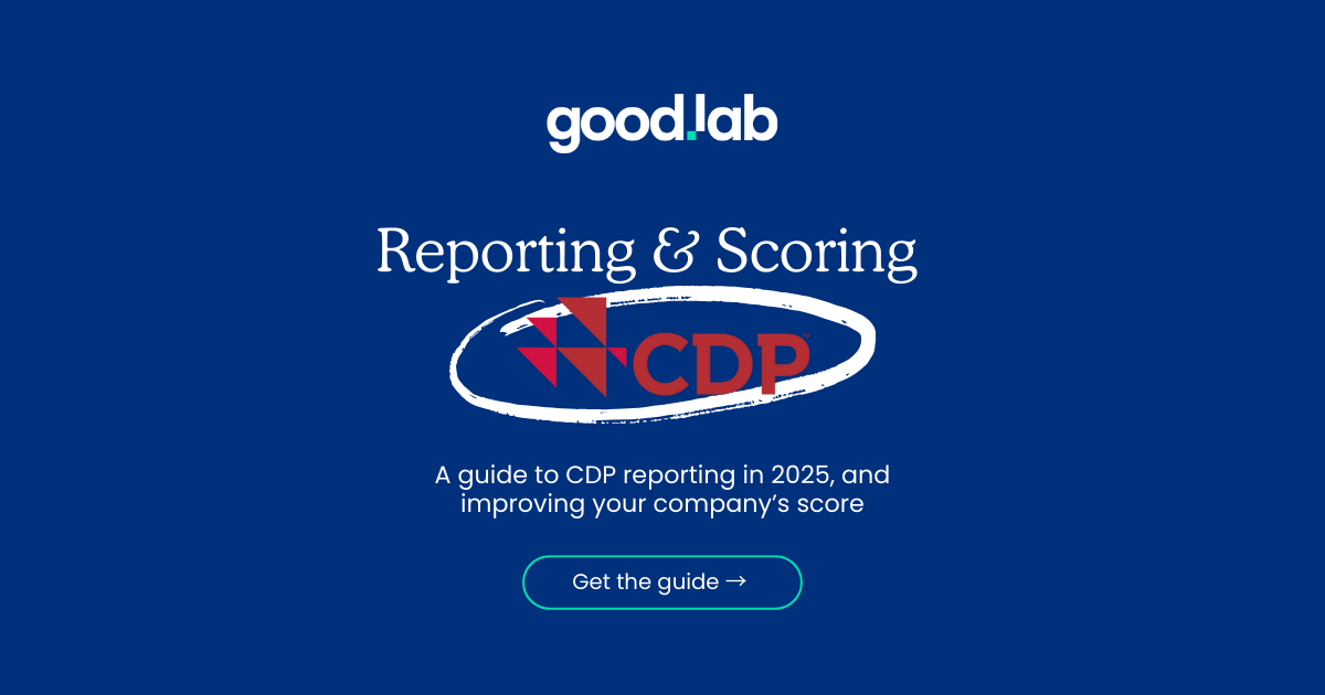 2025 CDP Reporting and Scoring